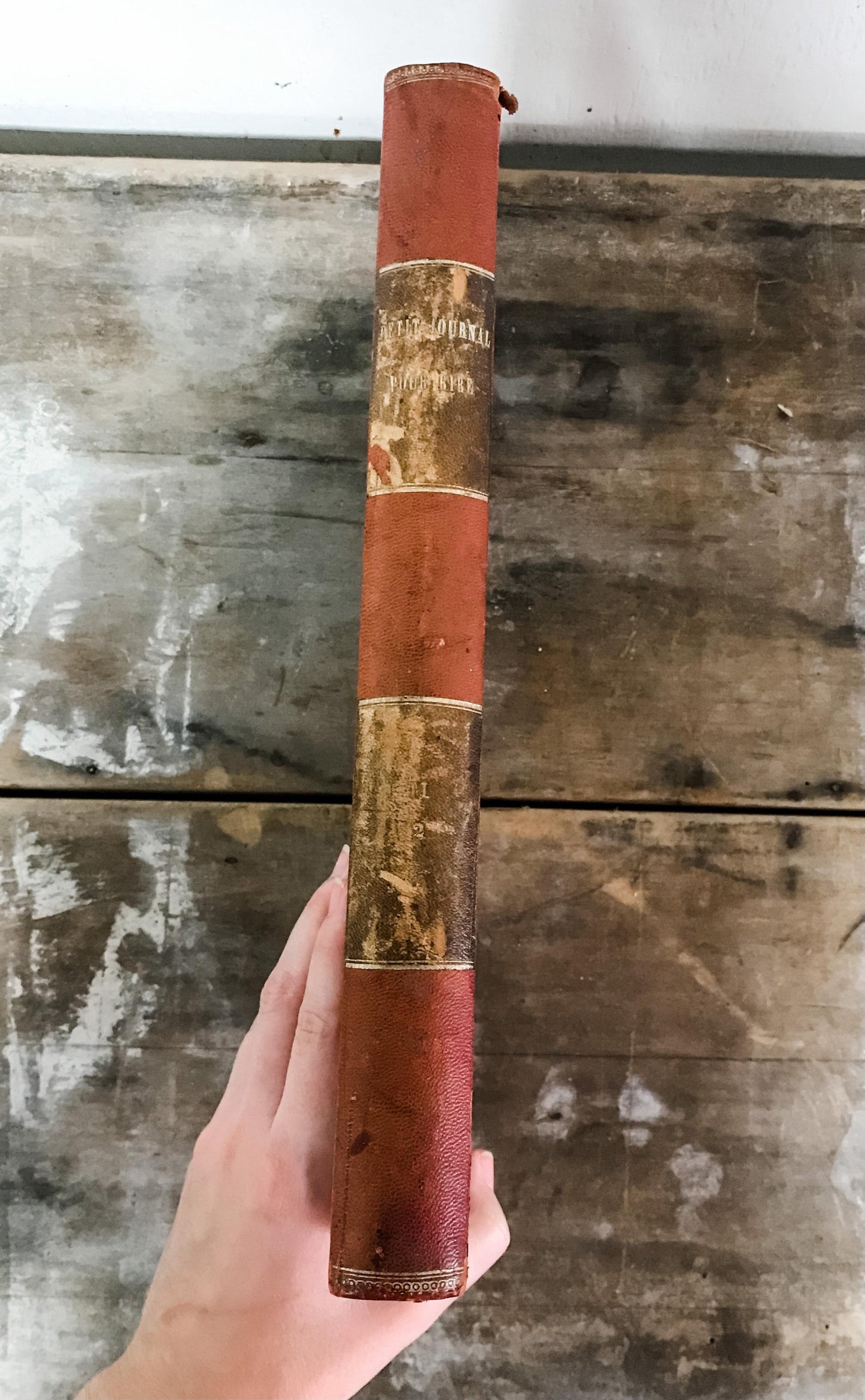 Antique French "Petit Journal" book