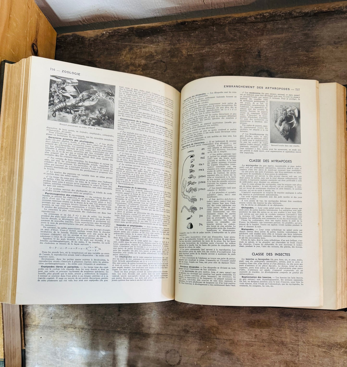 Vintage French Encyclopedia – "Grand Mémento Encyclopédique Larousse" Tome 2 | Mid-Century Scientific Reference Book