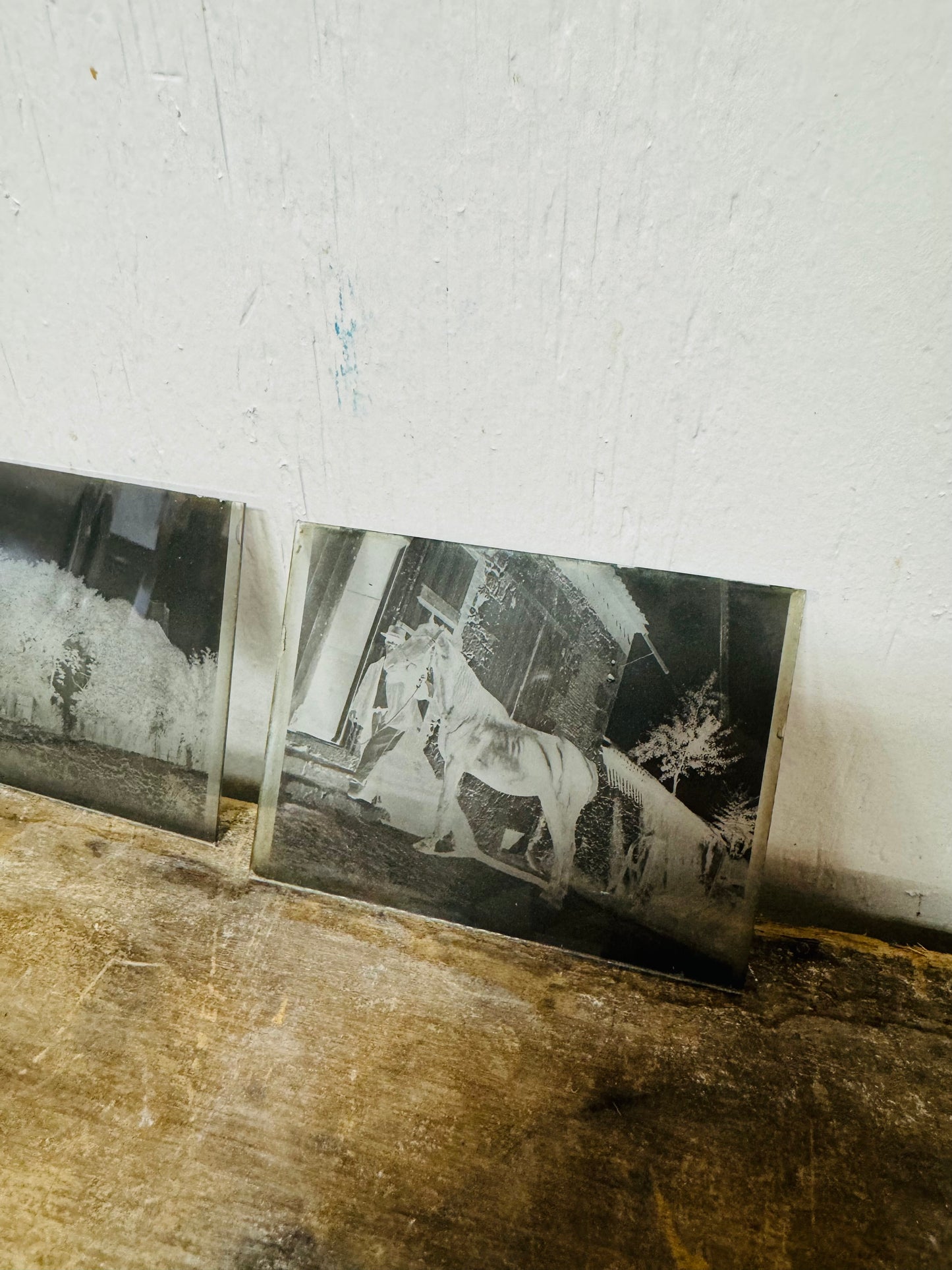 Box of Vintage French Misc. Glass Negatives image 6