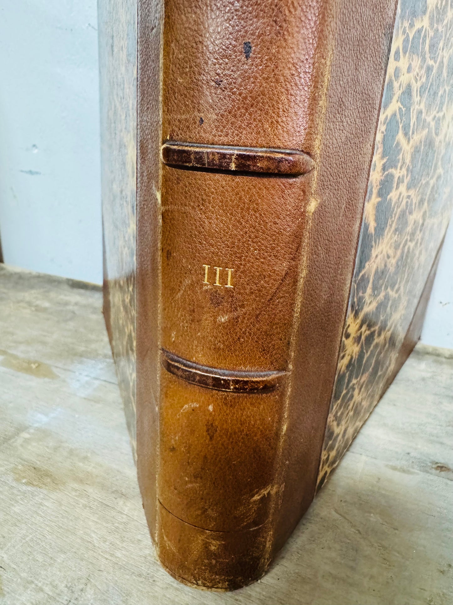 Antique French Heraldry Book – Nobiliaire et Armorial de Bretagne, Tome III by Pol Potier de Courcy