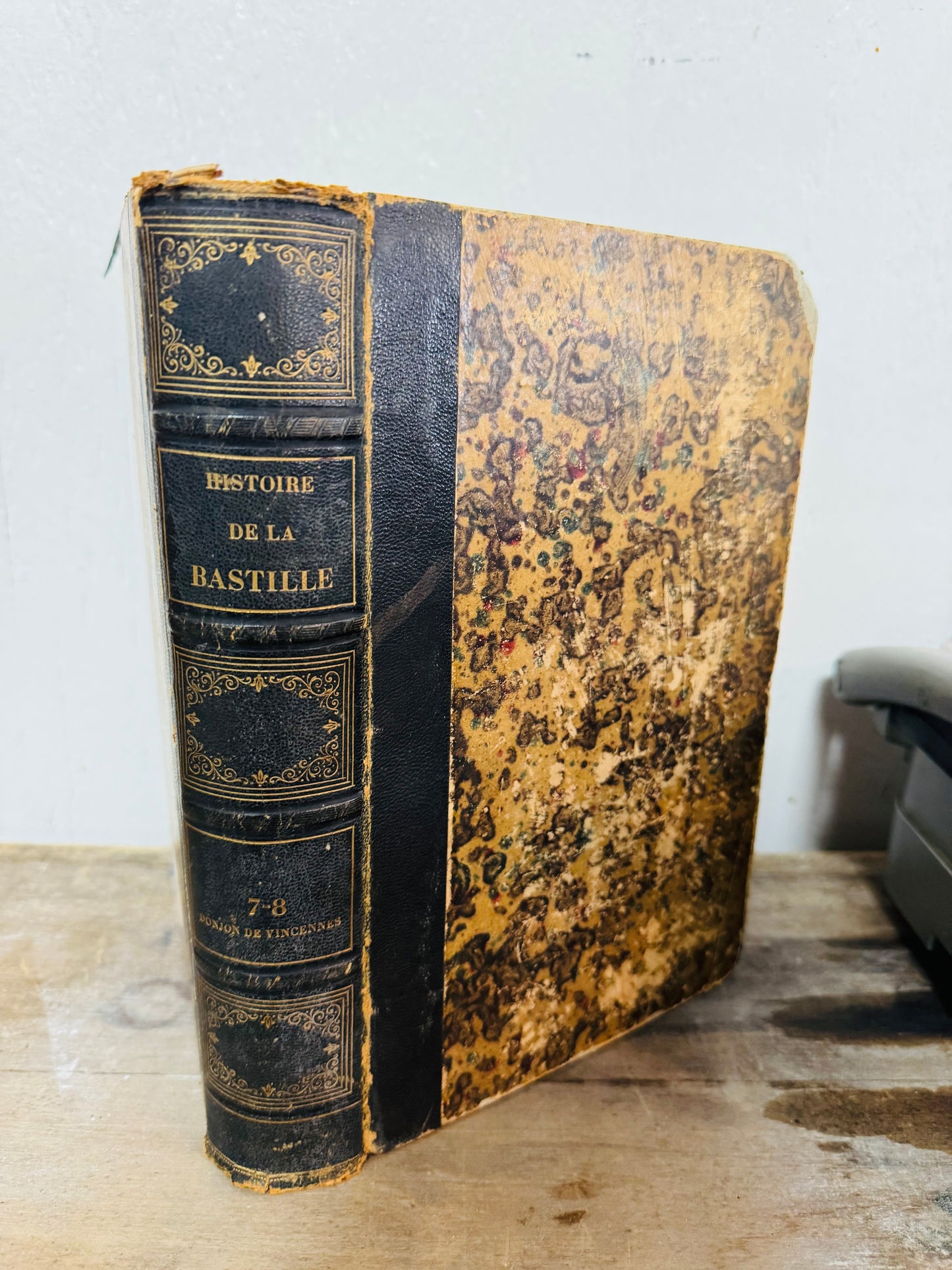 Antique 1854 “Histoire de la Bastille” – French History Book w/ Engravings | Donjon de Vincennes | Volume VII